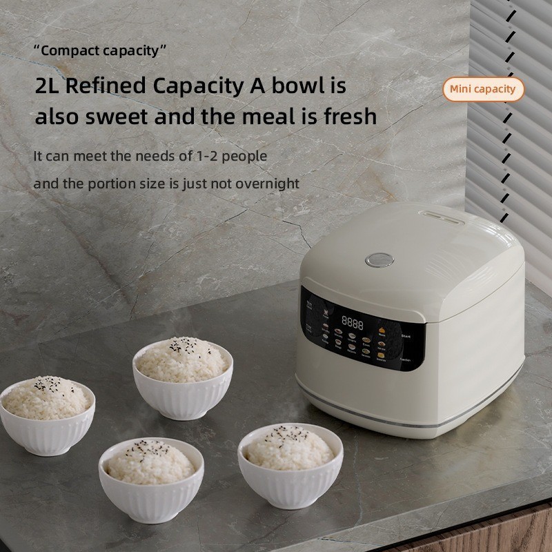 2026 yeni model ev tipi 110V/2 - Uk Home Cooking incelemesi ve fiyatı